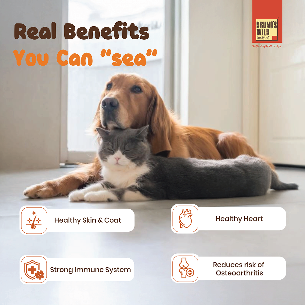 Bruno's Wild Essentials Sardine Oil for Dogs and Cats Both-Health & Wellness Bruno's Wild Essentials
