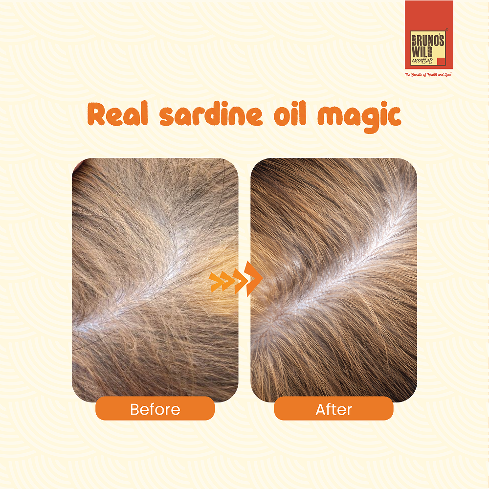 Bruno's Wild Essentials Sardine Oil for Dogs and Cats Both-Health & Wellness Bruno's Wild Essentials