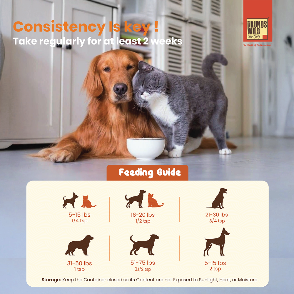 Bruno's Wild Essentials Sardine Oil for Dogs and Cats Both-Health & Wellness Bruno's Wild Essentials
