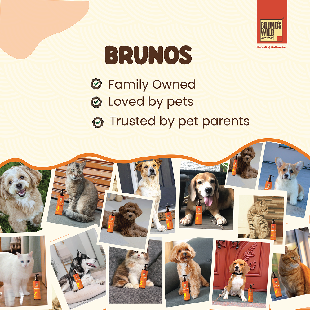 Bruno's Wild Essentials Sardine Oil for Dogs and Cats Both-Health & Wellness Bruno's Wild Essentials