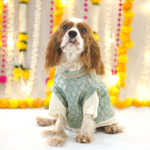 Pets Way Sartaj Kurta for Dogs