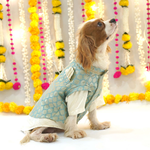 Pets Way Sartaj Kurta for Dogs