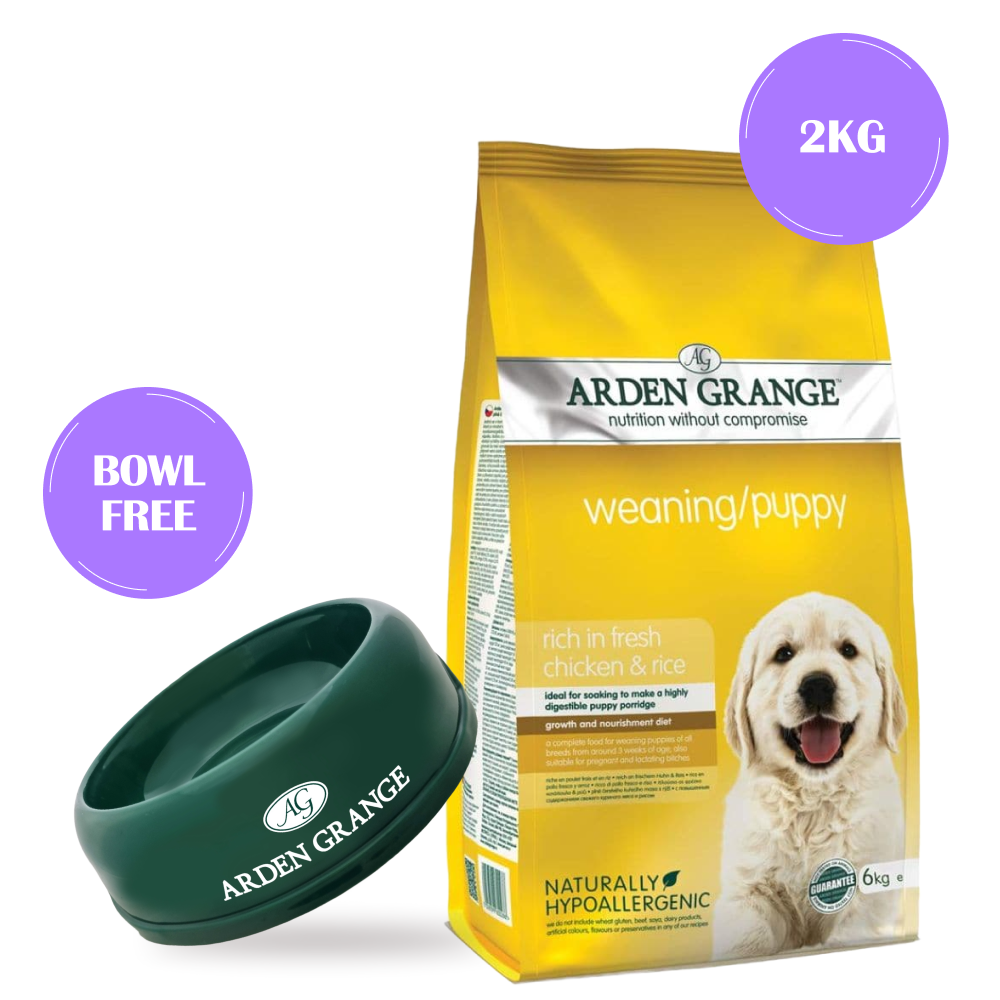 Puppy weaning porridge best sale