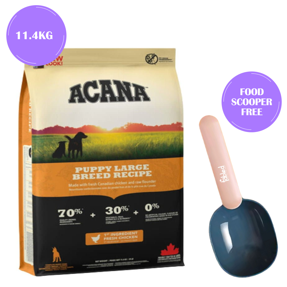 Acana Large Breed Puppy Dry Food