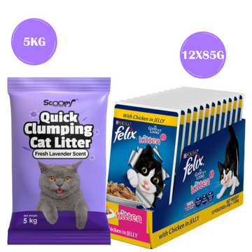 Purina Felix Chicken with Jelly Complete and Balanced Kitten Cat Wet Food