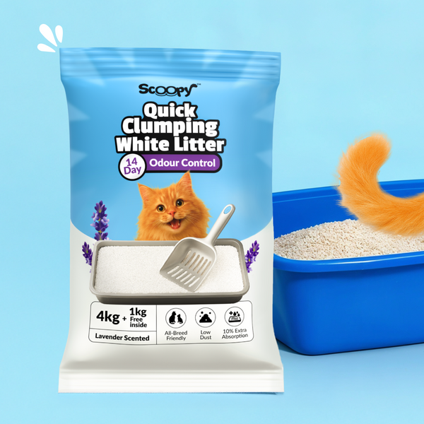 Purepet Crab, Chicken Lickable Treats with Scoopy Lavender Bentonite Litter Combo for Cats
