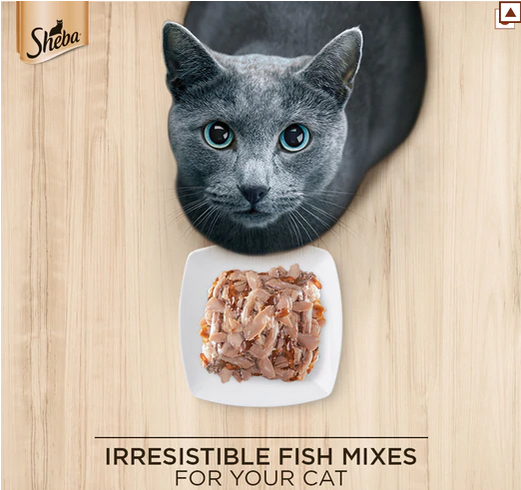 Sheba Fish with Dry Bonito Flake, Skipjack & Salmon Fish and Fish with Sasami Cat Wet Food Combo