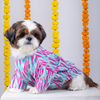 15 Furries Phataka Kurta for Dogs Dogs-Clothing & Accessories 15 Furries Dropship