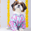 15 Furries Phataka Kurta for Dogs Dogs-Clothing & Accessories 15 Furries Dropship