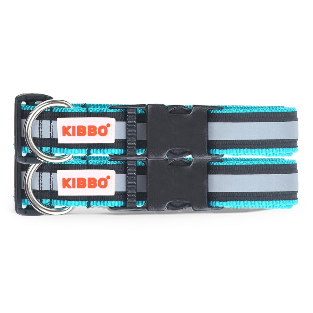 Kibbo Nylon Collar with Adjustable Buckle and D-Ring (Sea Green/Pack of 2)