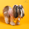 The Papaw Cartel Mirrored Sherwani for Dogs (Pink) Dogs-Clothing & Accessories The Papaw Cartel Dropship