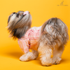 The Papaw Cartel Mirrored Sherwani for Dogs (Pink) Dogs-Clothing & Accessories The Papaw Cartel Dropship