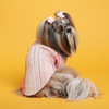 The Papaw Cartel Mirrored Sherwani for Dogs (Pink) Dogs-Clothing & Accessories The Papaw Cartel Dropship XL