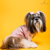 The Papaw Cartel Mirrored Sherwani for Dogs (Pink) Dogs-Clothing & Accessories The Papaw Cartel Dropship