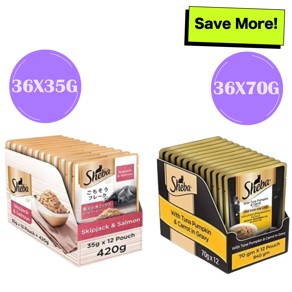 Sheba Skipjack & Salmon and Tuna Pumpkin & Carrot In Gravy Rich Premium Adult Fine Cat Wet Food Combo Cats-Wet Food Sheba 36x35g + 36x70g