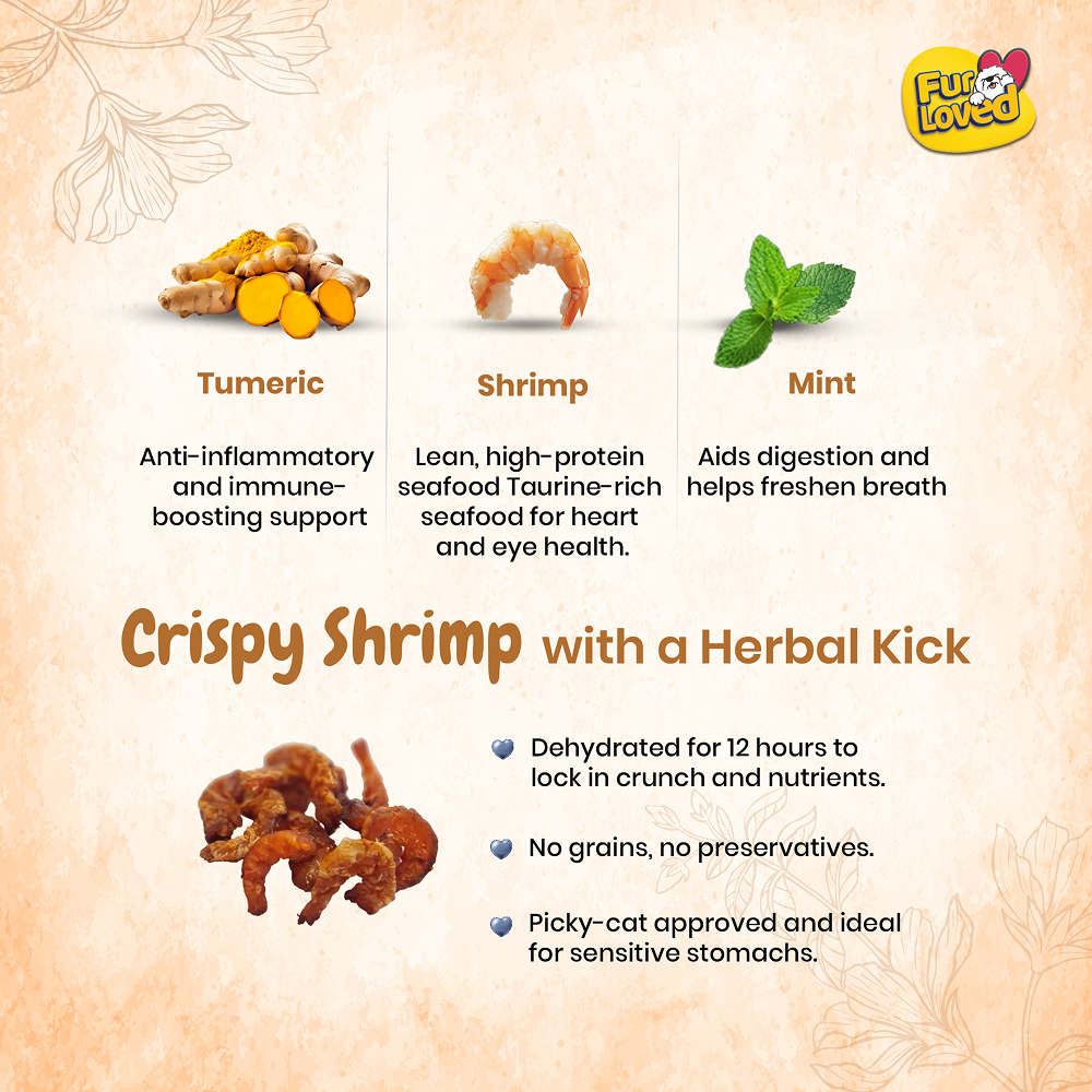 FurLoved Shrimp Tastic Cat Treats Cats-Treats & Others FurLoved