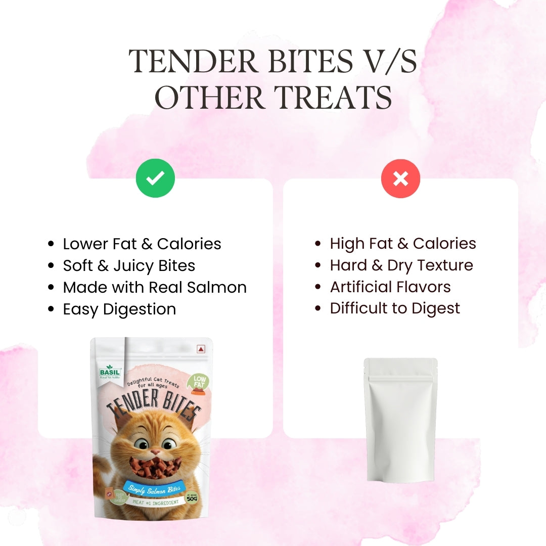 Basil Tender Bites Simply Salmon Cat Treats Cats-Treats & Others Basil
