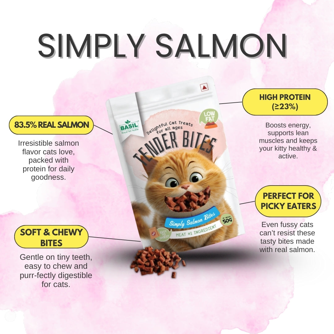 Basil Tender Bites Simply Salmon Cat Treats Cats-Treats & Others Basil