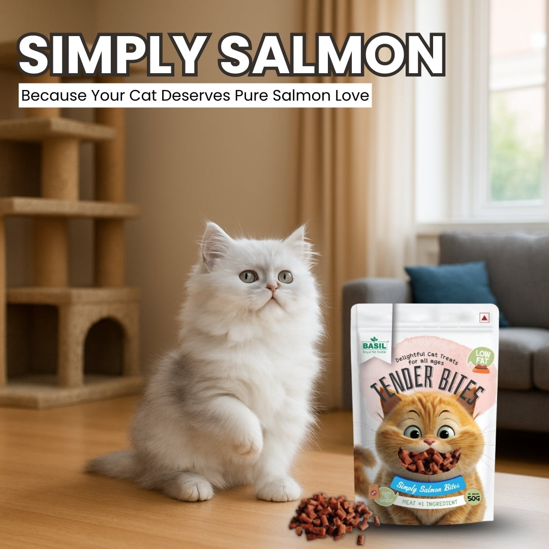 Basil Tender Bites Simply Salmon Cat Treats Cats-Treats & Others Basil