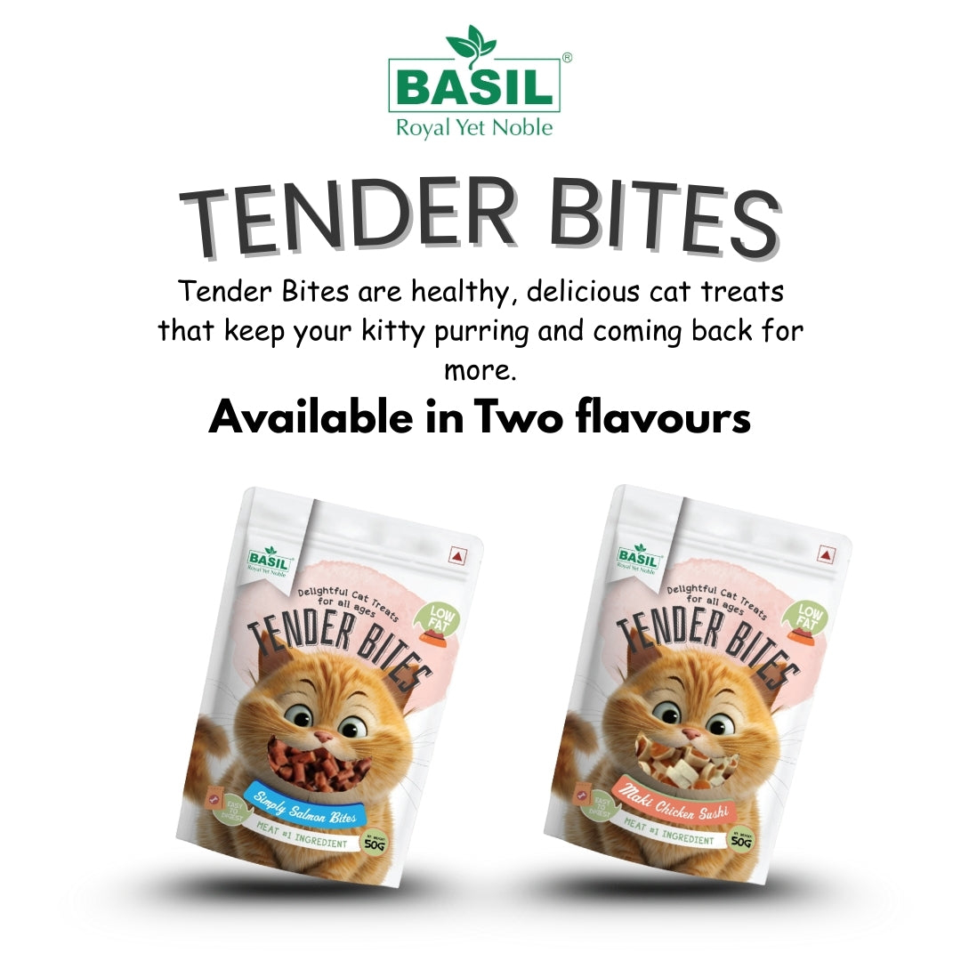 Basil Tender Bites Simply Salmon Cat Treats Cats-Treats & Others Basil