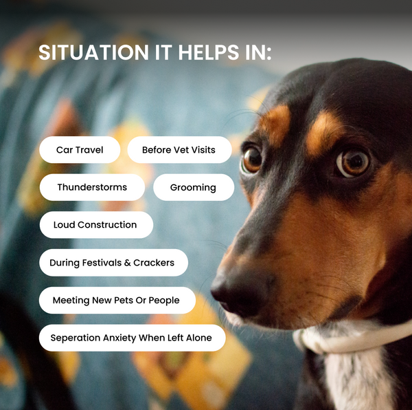 Absolut Pet Calming Chews Supplements Relieves Stress & Anxiety for Dogs