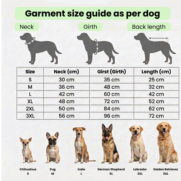 Barkbutler x Fofos Four Leg Dinosaur Raincoat for Dogs (Green)