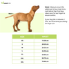 Fofos Diaper for Female Dogs (70x90cm) Dogs-Health & Wellness Barkbutler