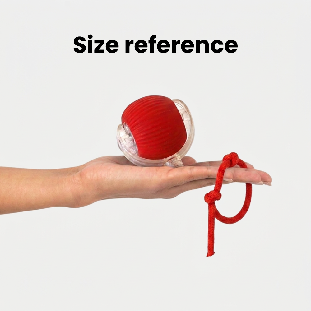 Talking Dog Club Automatic Rotating Interactive LED Ball for Cats, Kittens and Puppies (Red) Cats-Toys Talking Dog Club Dropship