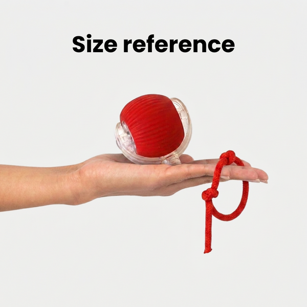 Talking Dog Club Automatic Rotating Interactive LED Ball for Cats, Kittens and Puppies (Red)