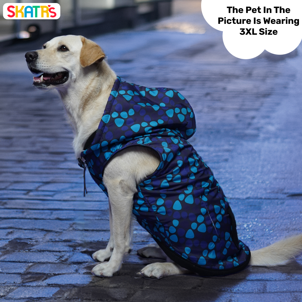 Skatrs Pebble Trio Breezy Vest for Cats & Dogs (Blue) Both-Clothing & Accessories Skatrs