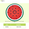 Fofos Watermelon Cooling Mat for Dogs & Cats (Green/Red) Dogs-Bedding, Mats & Travel Supplies Fofos