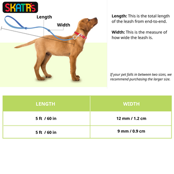 Skatrs Reflective Nylon Rope Leash for Dogs (Sky Blue)