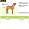 Skatrs Reflective Nylon Rope Leash for Dogs (Orange) Both-Collar, Leashes, harnesses Skatrs
