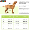 Skatrs Maharaja Handcrafted Sherwani for Dogs and Cats (Fuchsia) Both-Clothing & Accessories Skatrs