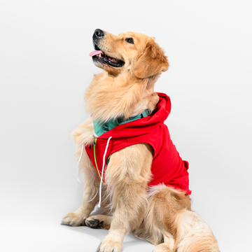 Skatrs  Breezy Vest with Pockets for Dog and Cats (Red)