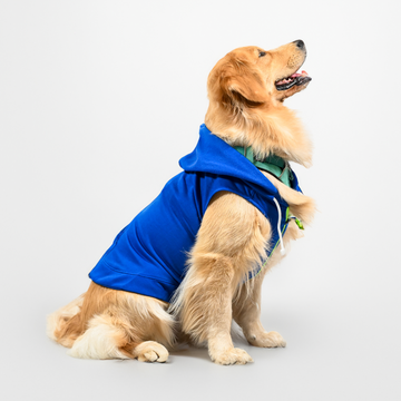 Skatrs Breezy Vest with Pockets for Dog and Cats (Blue)