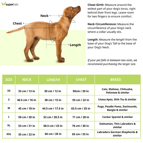 Petsnugs Dino Snug Hoodie for Dogs and Cats (Black)