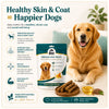 Petter World Skin & Coat Sticks with Omega 3 & 6 Dog Treats Dog Treats + Others Petter World Dropship