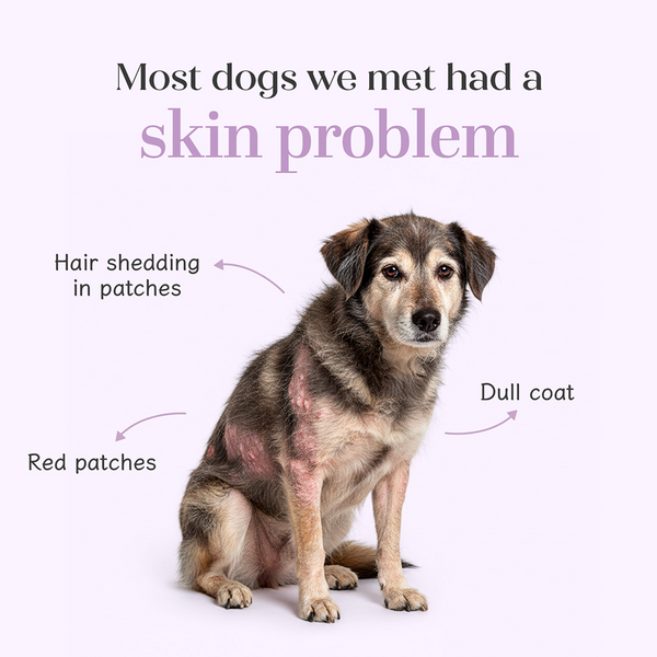 Hope Vegan Skin+Coat Supplement for Dogs