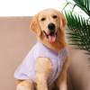 Pets Way Cozyquilt Winter Jacket for Dogs (Sky) Dogs-Clothing & Accessories Pets Way Dropship