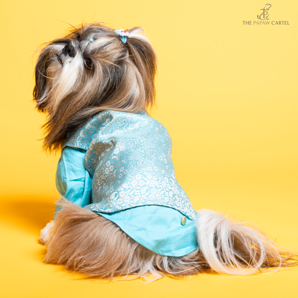 The Papaw Cartel Neemzari Koti Kurta for Dogs (Sky Blue) Dogs-Clothing & Accessories The Papaw Cartel Dropship S
