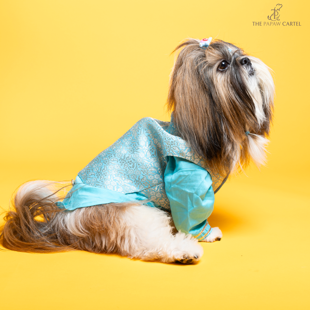 The Papaw Cartel Neemzari Koti Kurta for Dogs (Sky Blue) Dogs-Clothing & Accessories The Papaw Cartel Dropship