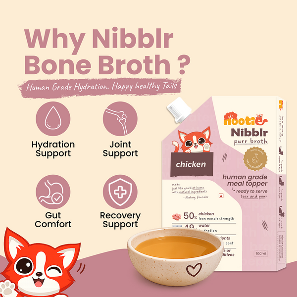 Nootie Nibblr Chicken Bone Broth Hydrating Meal Topper Cat Wet Food