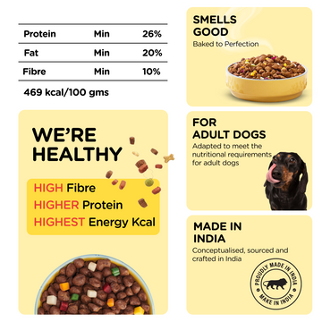 Henlo Chicken & Vegetable Baked Dry Food for Adult Dogs | 100% human grade ingredients