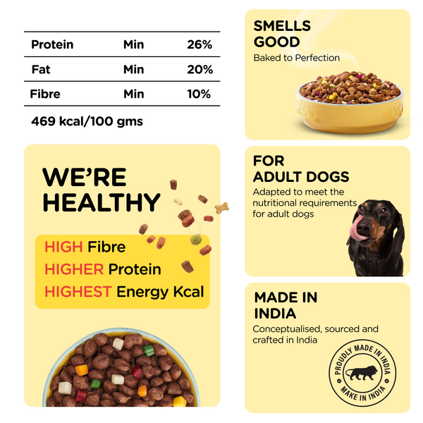 Henlo Chicken & Vegetable Baked Dry Food for Adult Dogs and SKATRS Anti Skid Stainless Steel Bowl Combo