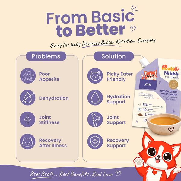 Nootie Nibblr Fish Bone Broth Hydrating Meal Topper Cat Wet Food