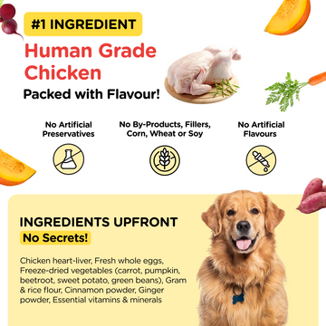 Henlo Chicken & Vegetable Baked Dry Food for Adult Dogs | 100% human grade ingredients