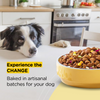 Henlo Baked Adult Dry Food and Gnawlers Oat Bone Dog Treats Combo Exclusive Combo Exclusive Combo