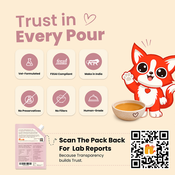 Nootie Nibblr Chicken Bone Broth Hydrating Meal Topper Cat Wet Food