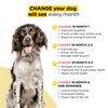 Henlo Chicken & Vegetable Baked Dry Food for Adult Dogs and JerHigh Vegetable and Chicken in Gravy Dog Wet Food Combo Exclusive Combo Exclusive Combo